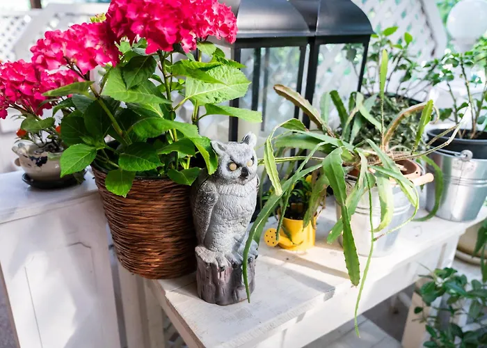 Inn Bagoly Fogado 2*