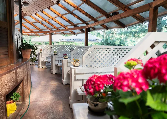 Inn Bagoly Fogado Gyomro