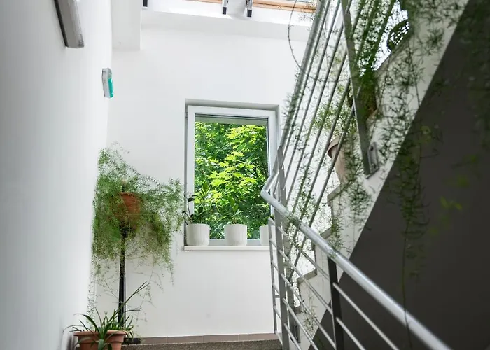 Bagoly Fogado Gyomro