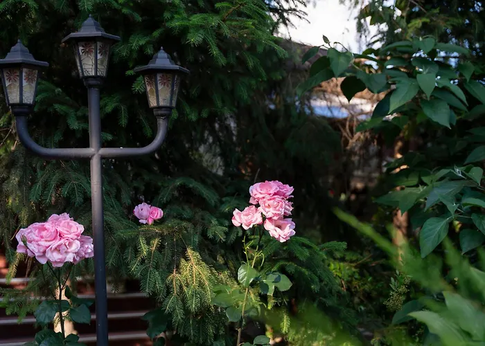 Inn Bagoly Fogado Gyomro